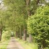 Отель Beautiful Farmhouse in Neede near Forest, фото 17