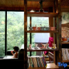 Отель Moganshan Dream Hotel, фото 3