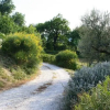 Отель Locazione turistica Casa Mare Gabicce.1, фото 11