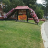 Отель Alpen Motel, фото 14