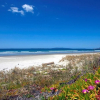 Отель The Dunes Golf Resort, фото 25