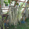 Отель Baansongkhata, фото 16
