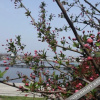 Отель Bantao Shanzhuang Shengtai Leisure Holiday Village, фото 8