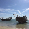 Отель Resort Ras Al Hadd Holiday, фото 17