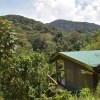 Отель Gorilla Hills Eco Lodge, фото 8