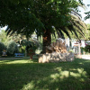 Отель Agriturismo Barbadoro, фото 8