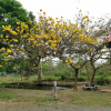 Отель Cabana Del Lago Fortuna, фото 8