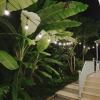 Отель Longan Homestay, фото 9