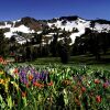 Отель Squaw Valley Lodge, фото 24