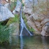 Отель Panamint Springs Resort, фото 30