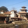 Отель Namaste Samudayik Homestay, фото 5