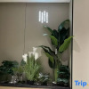 Отель Zhushan Triumph Light Luxury Hotel, фото 7