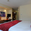 Отель Bay Horse Hotel by Greene King Inns, фото 5