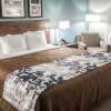 Отель Sleep Inn & Suites Center, фото 3
