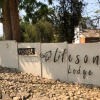 Отель Lifesong Lodge, фото 19