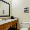 Отель QUALITY INN & SUITES NEAR TANGER OUTLET MALL, фото 7