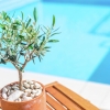 Отель Detached modern villa with pool in Sveti Lovrec, near the beach and Porec, фото 9