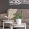 Отель City hotel Terneuzen, фото 28