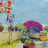 Отель Rooftop Kejia Homestay, фото 12