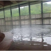 Отель Sanage Onsen Hotel Kinsenkaku, фото 14