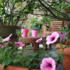 Отель Real B & B, фото 20