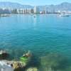 Отель 107267 - Apartment in Fuengirola, фото 10