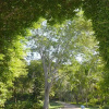Отель The Lodge at Chichen Itza, фото 9