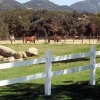 Отель Warner Springs Ranch, фото 10