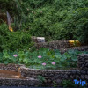 Отель Mushuiwan Resort, фото 4