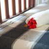 Отель Pousada Parador 081, фото 4