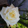 Отель Casa Max, фото 5