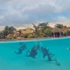Отель Thresher Cove Dive Resort, фото 21