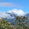 Отель Green Mountain Turrialba, фото 22