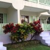 Отель Royale Hummingbird Cliff Hotel в Негриле