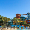 Отель Lindo Apê com acesso ao diRoma Acqua Park, фото 27