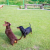 Отель Gangneung Happymong Pension (Pets Friendly), фото 19