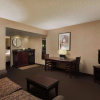 Отель Embassy Suites Lubbock, фото 3