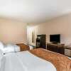 Отель Comfort Inn & Suites, фото 5