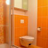 Отель Lipno Lake Apartment, фото 7