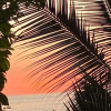 Отель Traditional Sierra Leon Oceanfront Rooms, фото 20