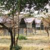 Отель Olengoti Safari Camp - East Africa Camps, фото 12