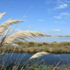 Отель Luxurious Holiday Home with Private Pool in Port Camargue, фото 19