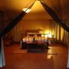 Отель iKWETA Safari Camp, фото 2