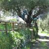 Отель Agriturismo La Casa Vecchia, фото 3