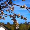 Отель Risør Bed & Breakfast, Randvik Strand, фото 17