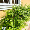 Отель Sofia's B&B Hostal Boutique, фото 18