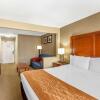 Отель Comfort Inn Gurnee near Six Flags, фото 12