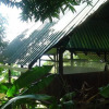 Отель Ka'kau Jungle Cabinas, фото 3