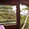 Отель Tanna Volcano View Treehouse, фото 15