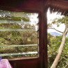 Отель Tanna Volcano View Treehouse, фото 11